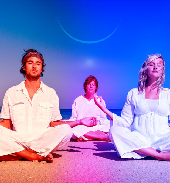SOLANCHA feature image