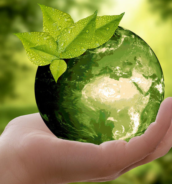 eco-friendly image