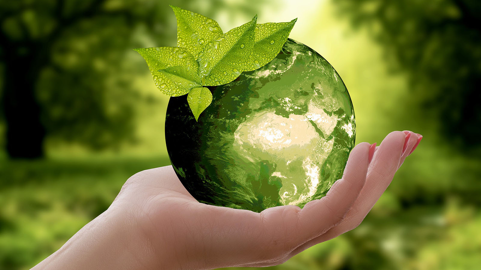 eco-friendly image