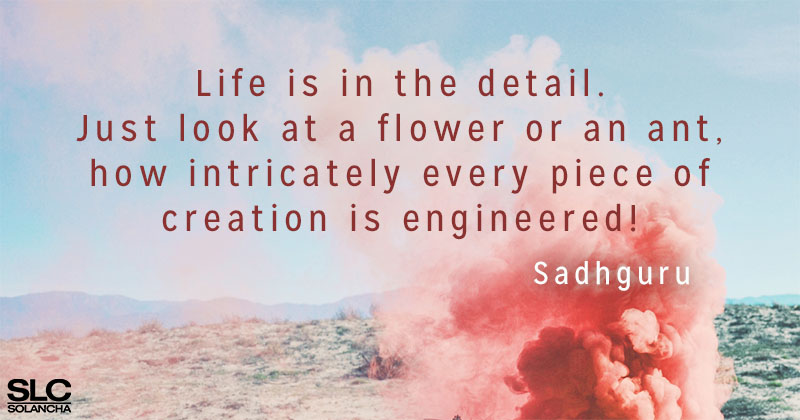 Sadhguru Quote on life image 