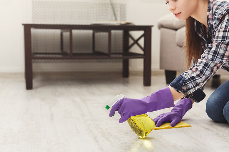 cleaning woman image