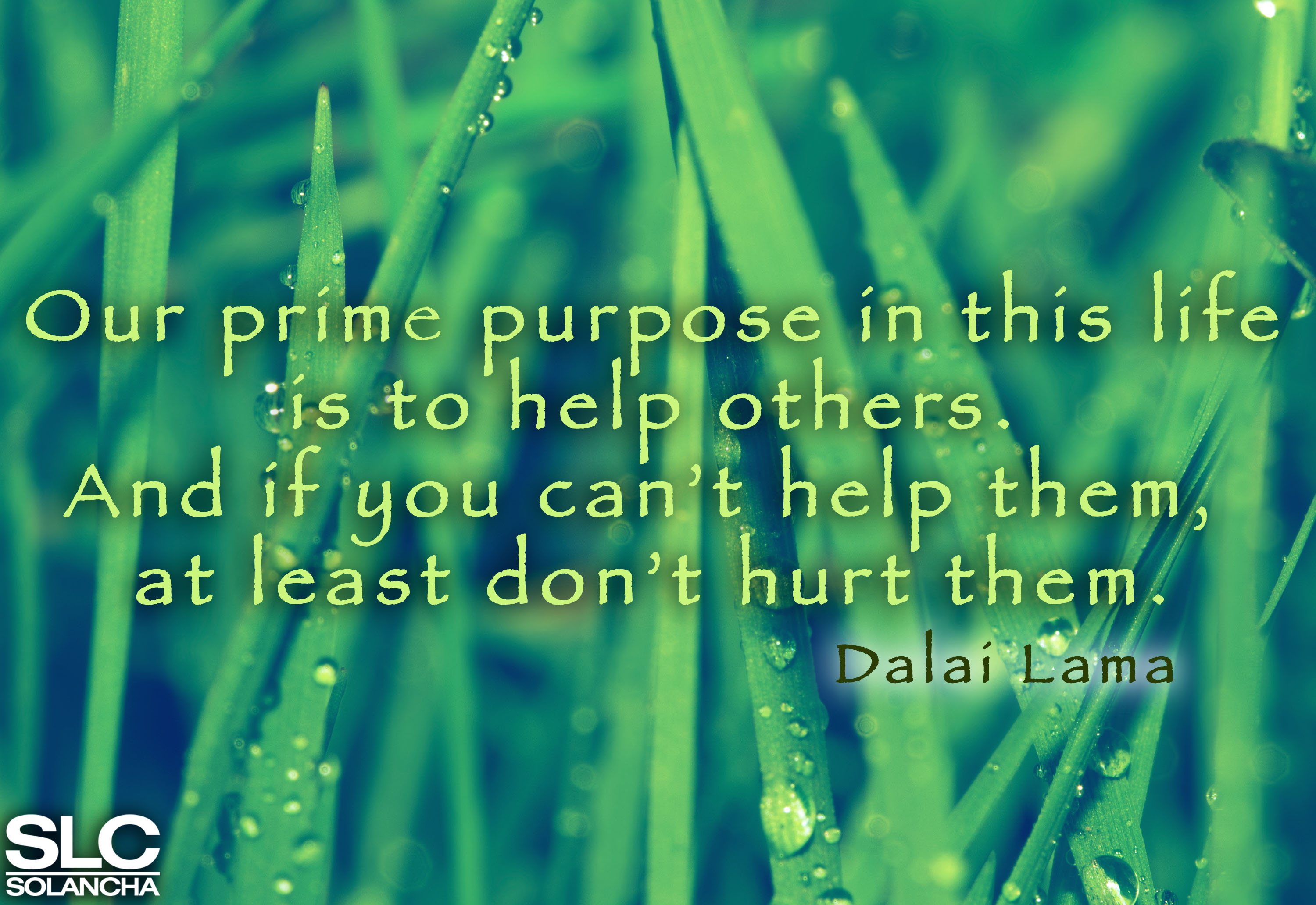 dalai lama quotes help image