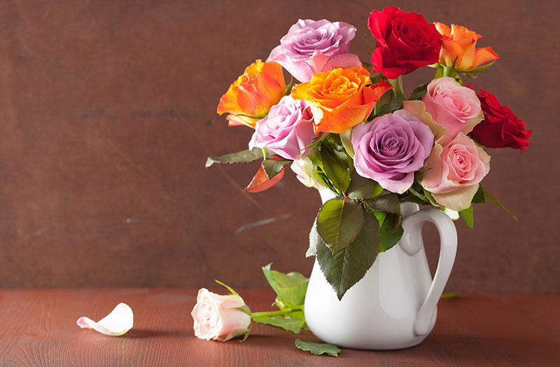 rose flowers bouquet in vase