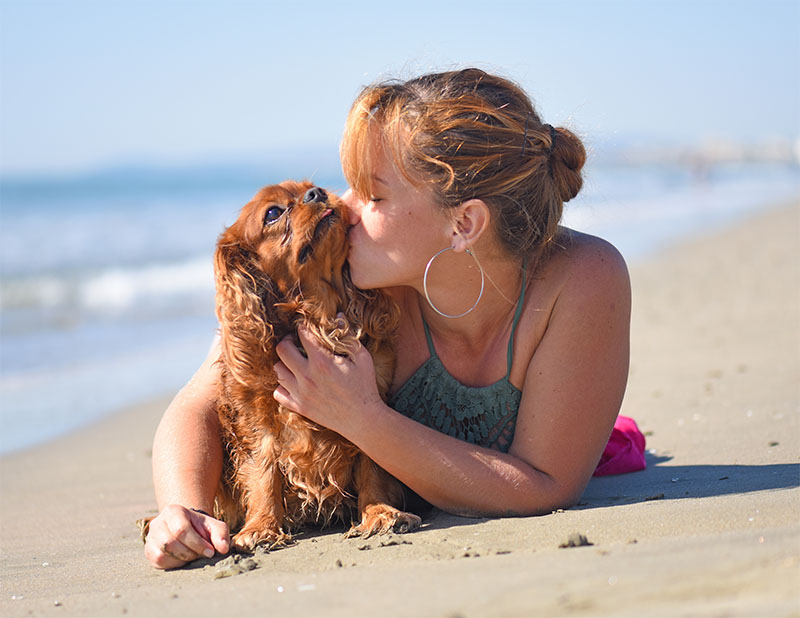 woman kissing a dog image