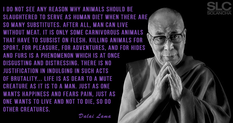 Vegan Quote Dalai Lama Image