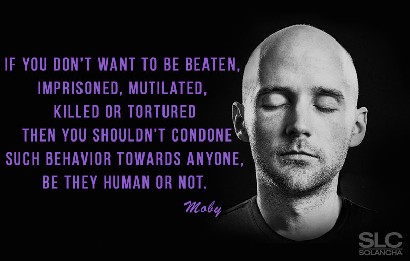 Vegan Quote Moby Image 