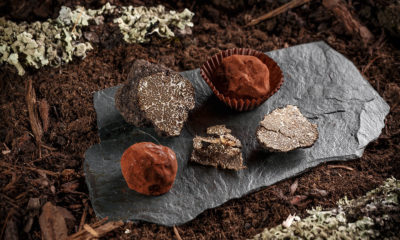 Vegan chocolate truffles image