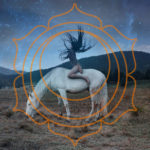 8 Simple Tips On How To Harness the Power Of Your Sacral Chakra