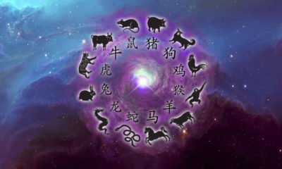 Horoscope 2019 image