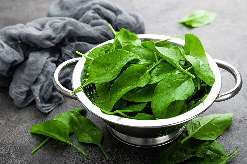 Spinach image