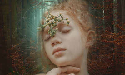 empath survival guide image