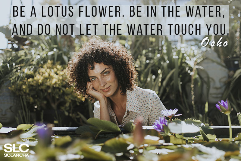 Osho Quote On Life and Lotus Image