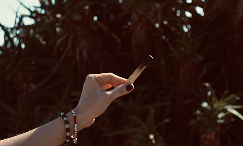 palo santo cleansing image