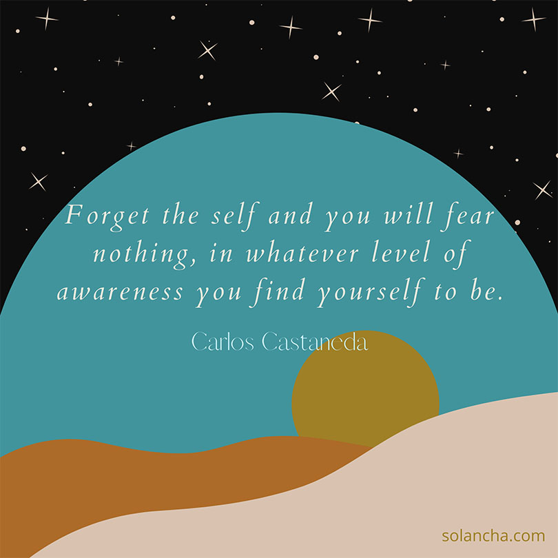 Self-awareness Quote Castaneda Image
