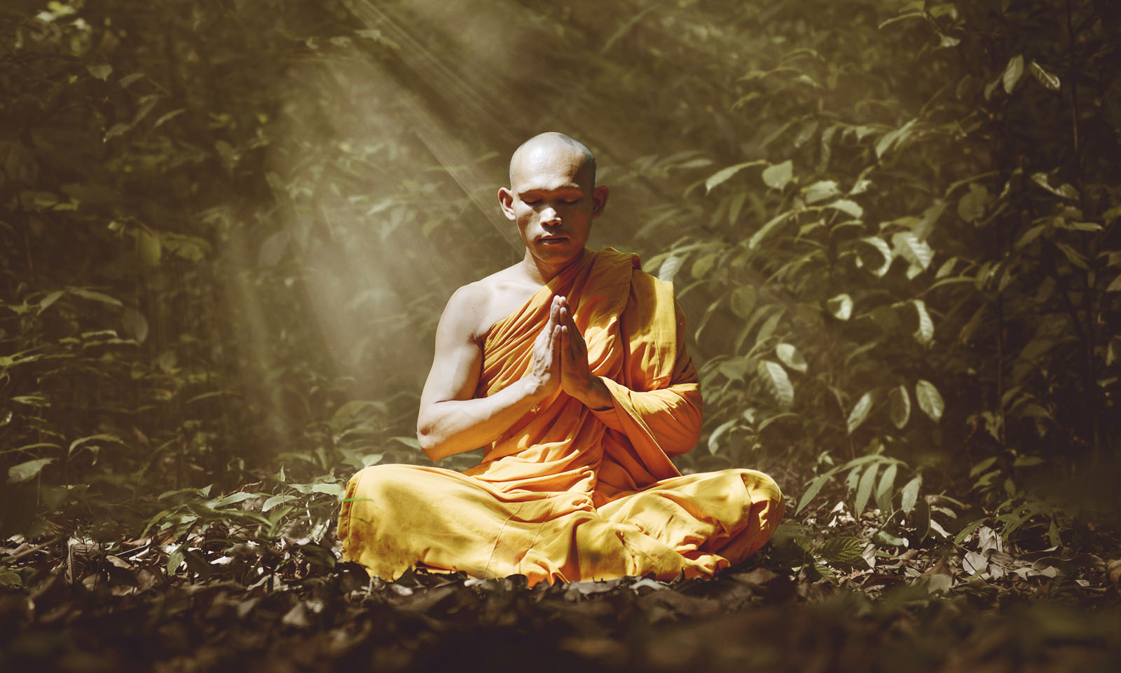 6 Life-Changing Ways To Purify Negative Karma - SOLANCHA