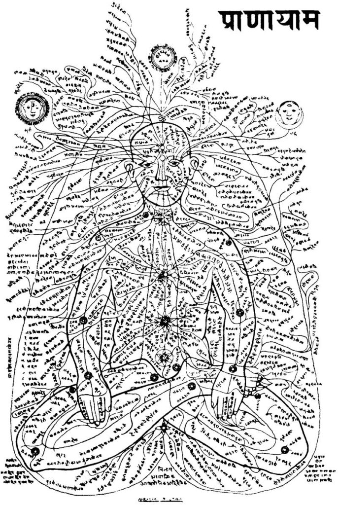 nadi channels and chakras for beginners image