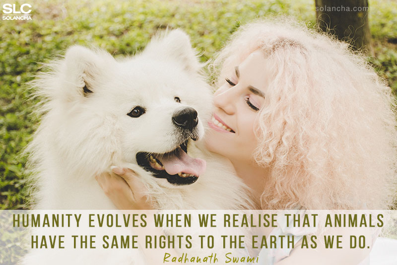 Quote about animal rights image