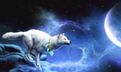 Feng Shui Astrology October 2019 the month of the wood dog Image