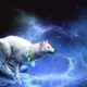Feng Shui Astrology October 2019 the month of the wood dog Image
