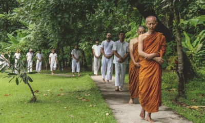 Walking meditation image
