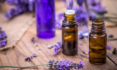 15 Powerful Essential Oils For Money Attraction & Success - SOLANCHA