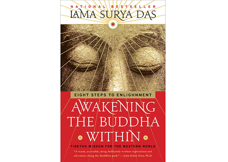 best books for spiritual awakening lama surya das image