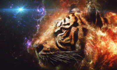 Feng Shui Astrology For February 2020 Image