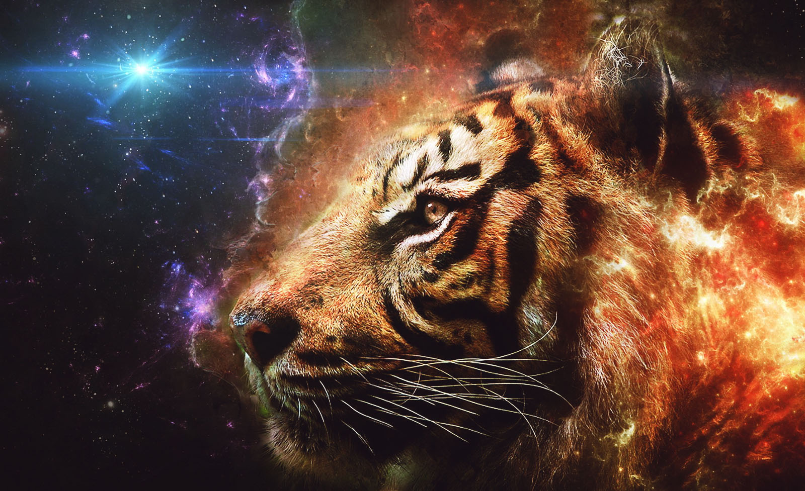 Feng Shui Astrology For February: the Month of the Earth Tiger - SOLANCHA