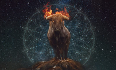 Feng Shui Astrology For January 2020 Fire Ox Month Image