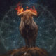 Feng Shui Astrology For January 2020 Fire Ox Month Image