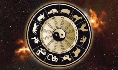 Horoscope For February 2020 Image