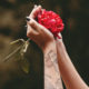 Meditation to attract love image