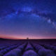 Horoscope for June 2020 Image