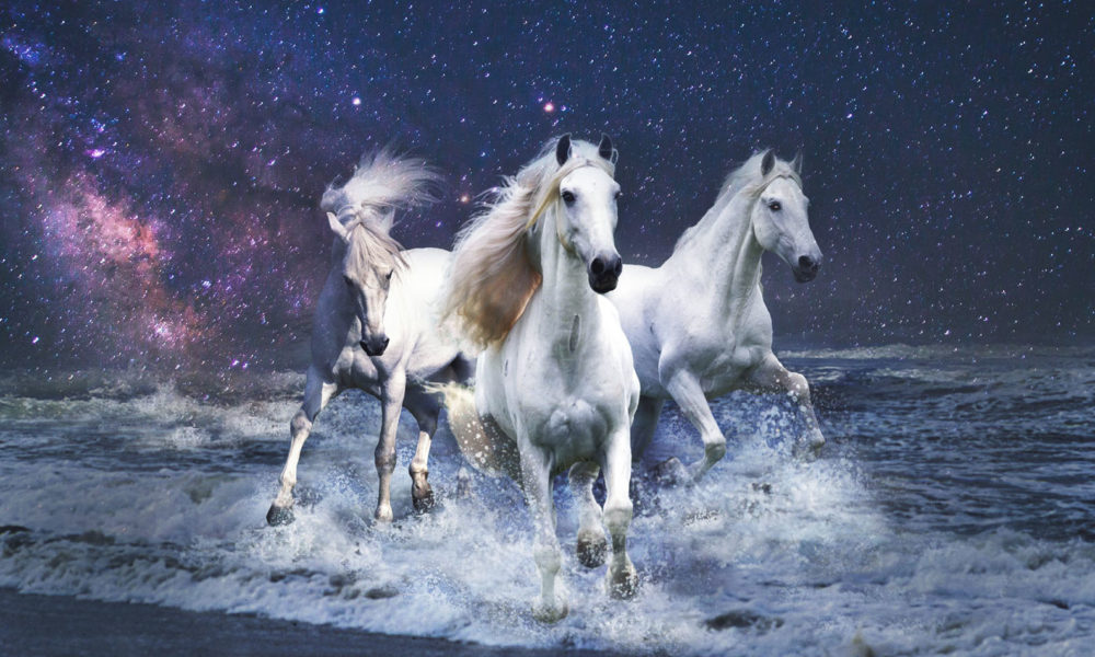 Feng Shui Astrology for June: the Month of the Water Horse - SOLANCHA