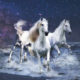 Feng Shui Astrology for June Image