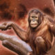 Feng Shui Astrology For August 2000 Wood Monkey Image