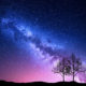 The Most Accurate Horoscope for July 2020 Image