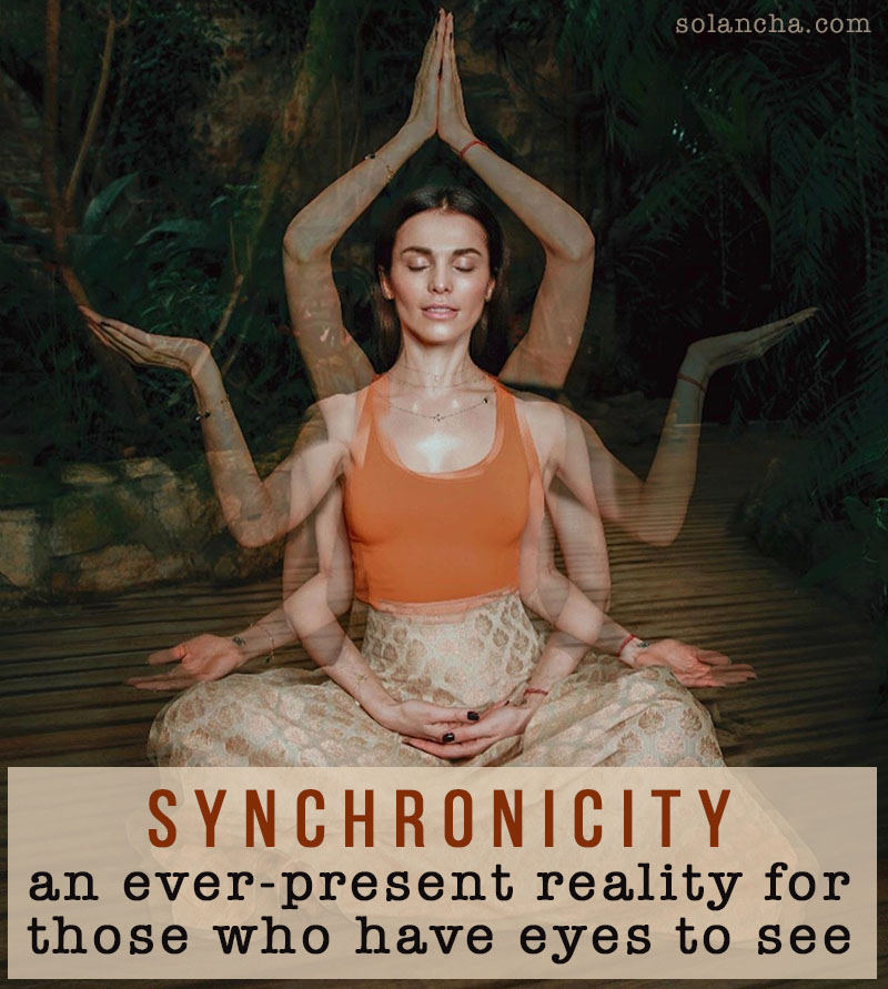 Synchronicity Quote Image