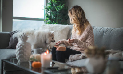 Feng Shui For Health And Longevity Image