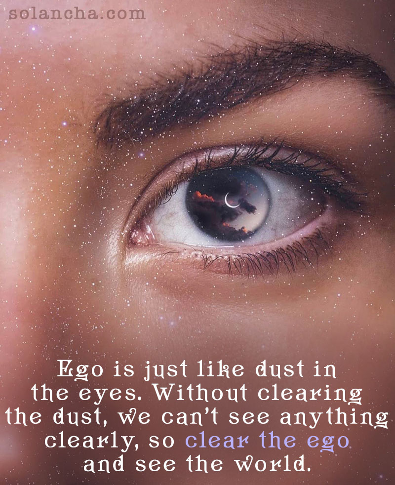 Sayings and Quotes on Ego Image