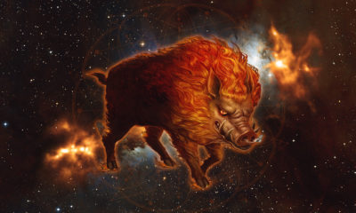 Feng Shui Astrology For November 2020 the Month of the Fire Boar Image