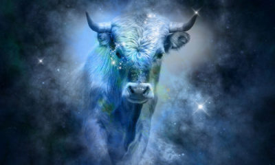 Feng Shui Astrology for January 2021 Ox Image