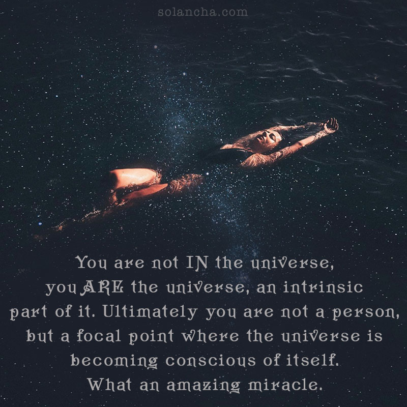 Eckhart Tolle Quotes on wonder Image