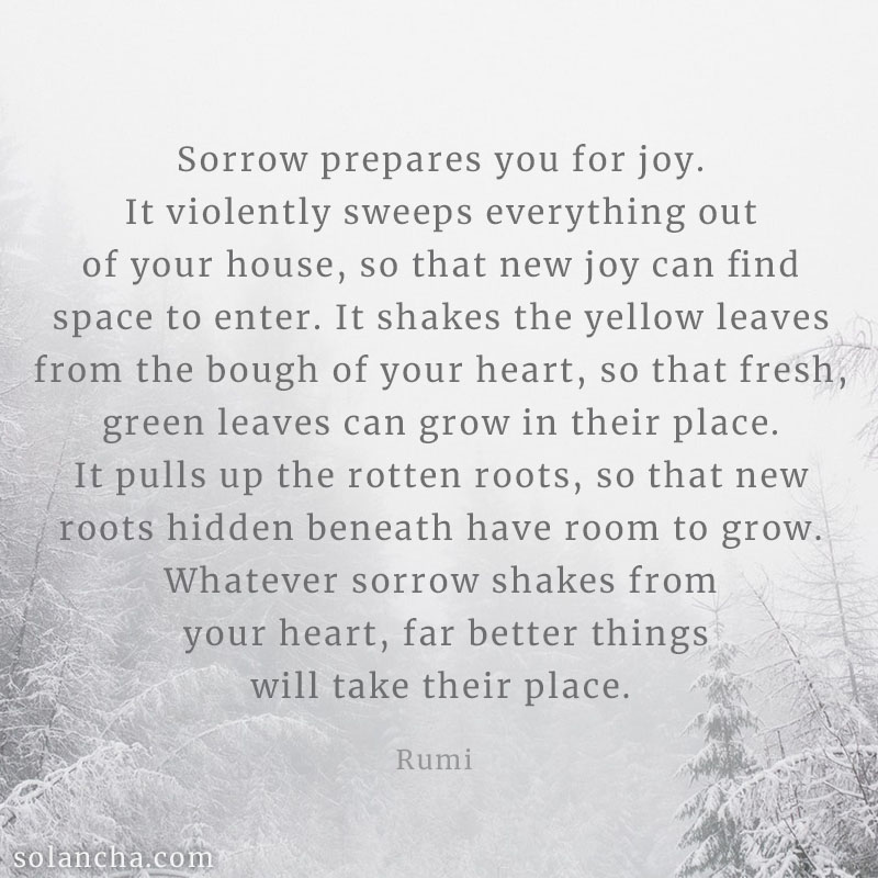 Rumi quote on sorrow Image