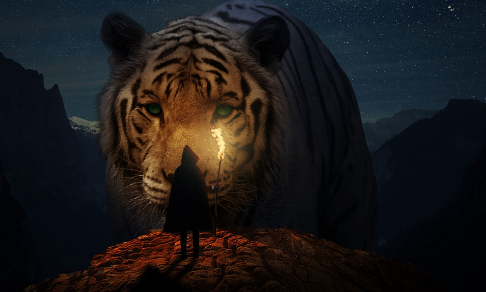 Feng Shui Astrology for February 2021 Tiger Image
