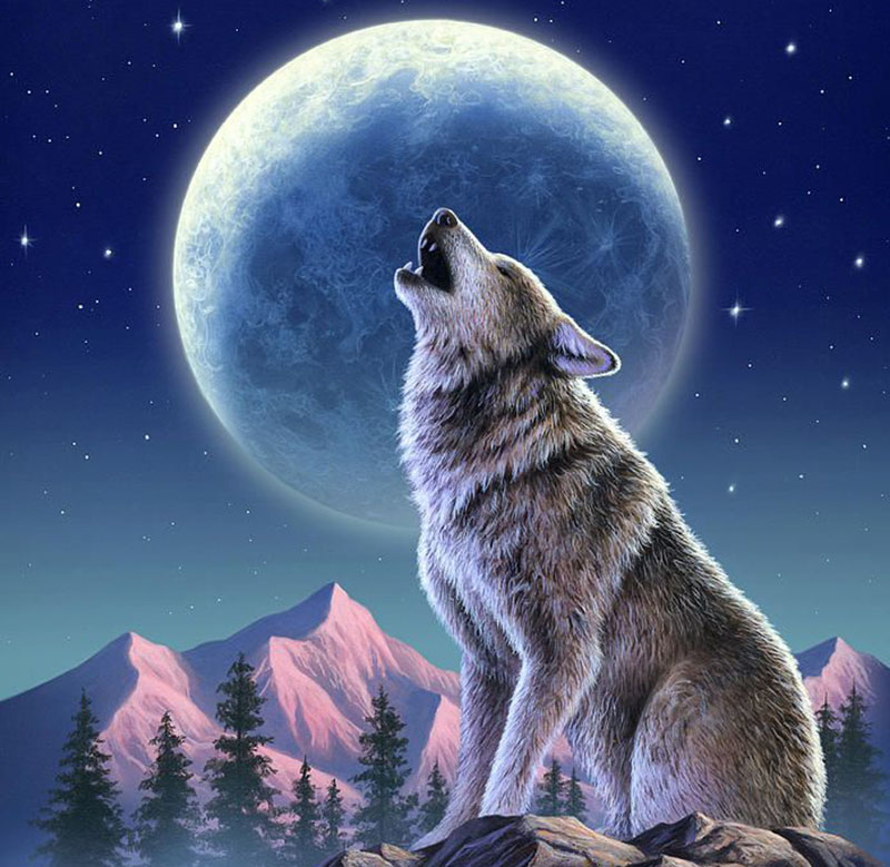 Wolf Moon 2021 Image