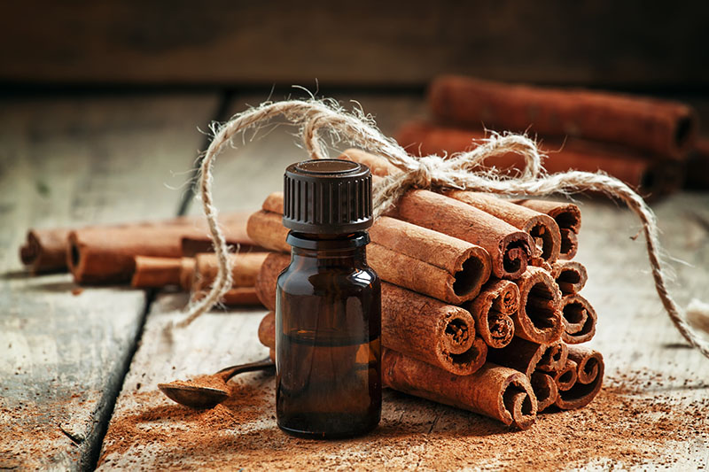 cinnamon essential oil for money image