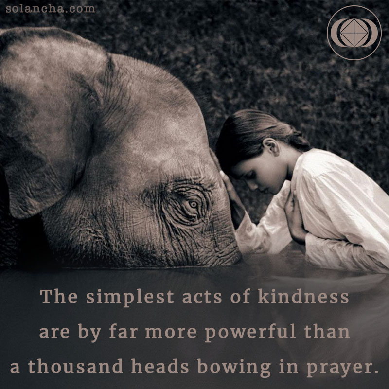 inspirational quotes on kindness image