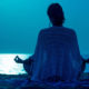 Shanmukhi Mudra Image