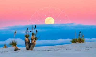 Horoscope for April 2021 Image